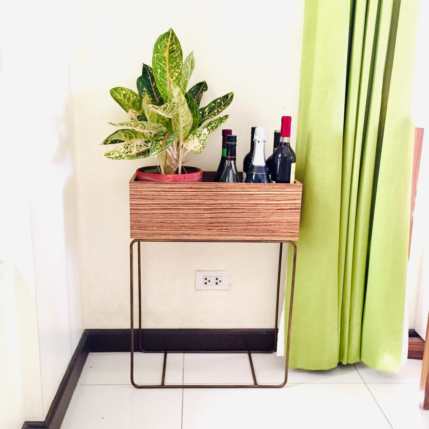 Nook Plant Box - Zebrawood