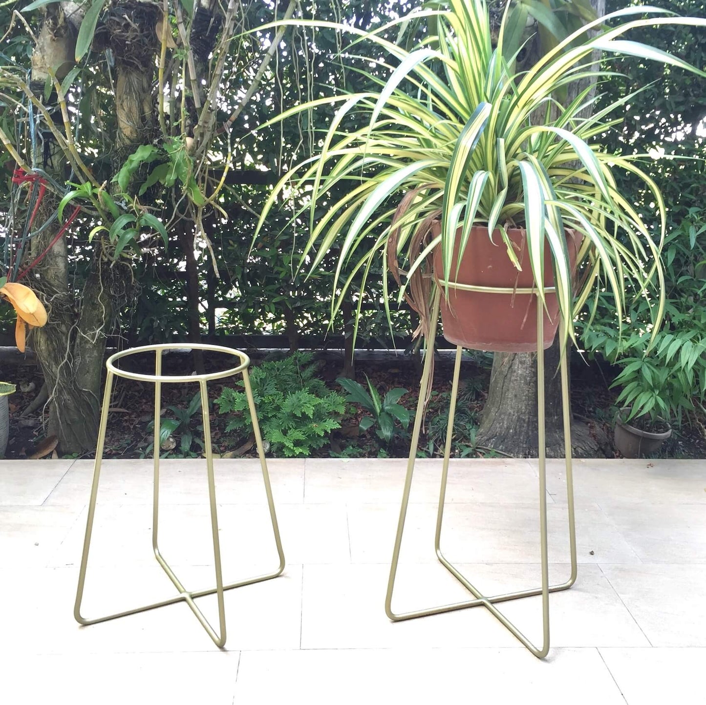 Plant Stands - Crosspin