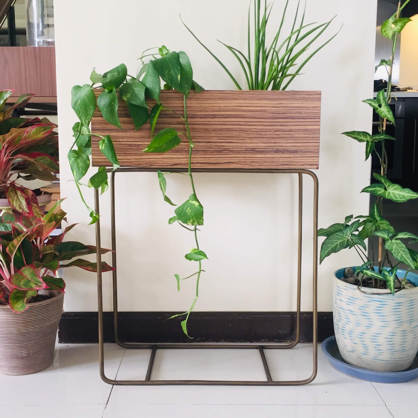 Nook Plant Box - Grey Zebrawood