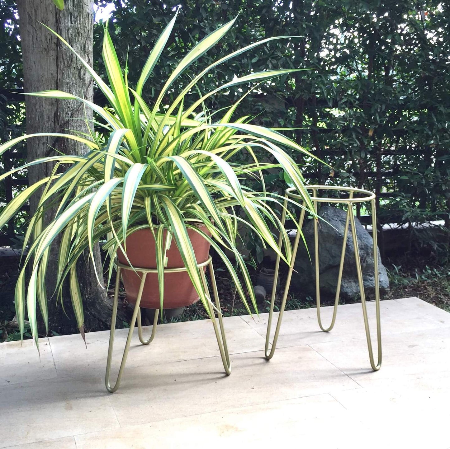 Plant Stands - Hairpin