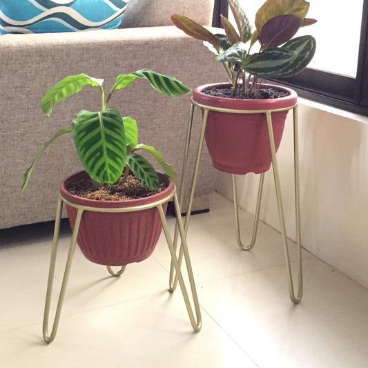 Plant Stands - Hairpin